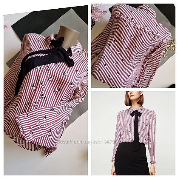 Гарнюсенька сорочка у песики р м Mango