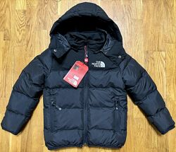 #8: Зима НОРД