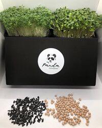 10 врожаїв набір для вирощування мікрозелені Panda Black