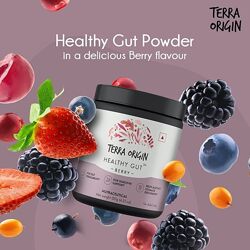Terra Origin добавка для здоровья кишечника с ягодами. 243 г