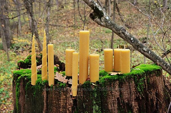 Натуральні медові свічки з вощини 