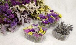 Сухоцвіци для handmade  Сухоцветы для рукоделия Кермек Статица Лаванда