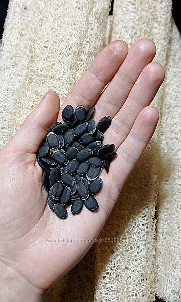 Люффа губка мочалка Люффа семена