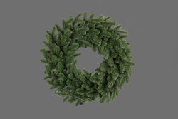 #1: Ковалевский большой