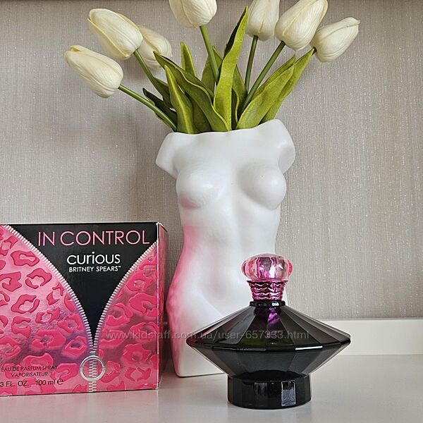 Britney Spears In Control Curious.