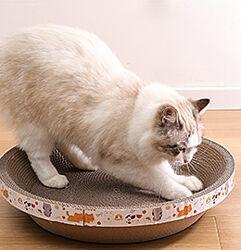 #3: когтеточка для кошек