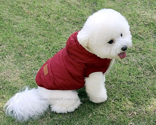Курточка, комбинезон для собак средних размеров, плащевка, флис, зима-осень