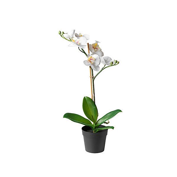 Штучна орхідея в горщику ІКЕА FEJKA біла 002.859.08