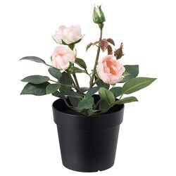 Штучна рослина в горщику IKEA FEJKA для дому та вулиці рожева троянда 20 см 003.953.13