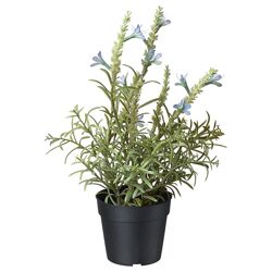 Штучна рослина в горщику IKEA FEJKA блакитна лаванда 9 см 304.295.14