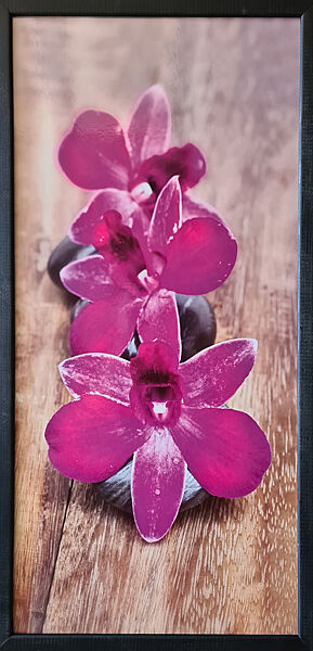 Фотокартина в дерев&acuteяній рамі Orchid 5 33х70 см POS-3370-219