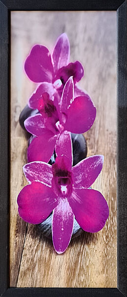Фотокартина в дерев&acuteяній рамі Orchid 5 20х50 см POS-2050-124