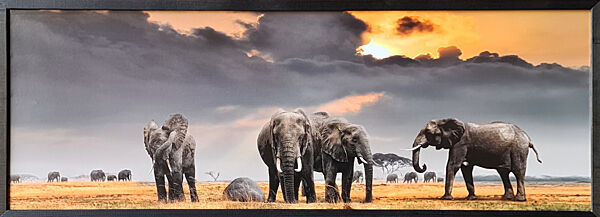 Фотокартина в дерев&acuteяній рамі Elephants 3 35х100 см POS-35100-242
