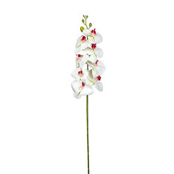 Квітка штучна Орхідея біла/рожева серединка FL-1009