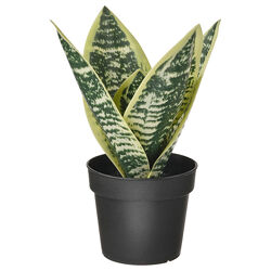 Штучна рослина в горщику IKEA FEJKA тещин язик Сансеверія 21 см 405.229.98