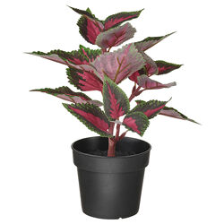 Штучна рослина в горщику IKEA FEJKA декоративна кропива Соленостемона 23 см  605.229.83