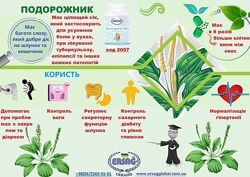 #3: Подорожник