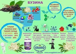 #10: Бузина черная