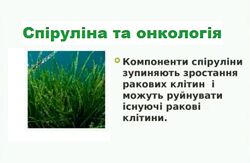 #10: Онко детокс