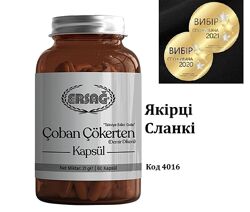 Ерсаг 4016 якірці сланкі, ШКТ, тромбоз, камені в нирках, безпліддя, лібідо