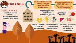 #5: Рейши Линчжи