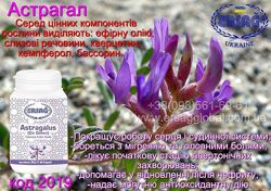 #3: Астрагал