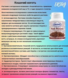 #4: Антибиотик