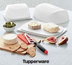 Умная сырница прямоугольная Tupperware 
