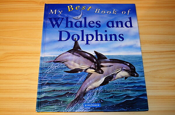 Whales and dolphins, дитяча книга англійською