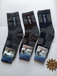 Шкарпетки чоловічі термо трекінгові вовна з ангорою преміум якість