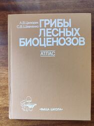 Книга атлас грибы лесных биоценозов Цилюрик Шевченко 