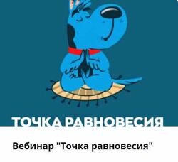 Вебинар Точка равновесия - Дмитрий Тарасов, Виктория Шаронова