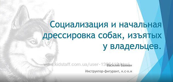 Социализация и начальная дрессировка собак, изъятых у. - Василий Бахман