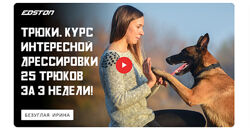 Трюки. Курс интересной дрессировки, 25 трюков за 3 недели - Ирина Безуглая