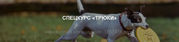 Дрессировка собак. Спецкурс Трюки - Okidog Academy