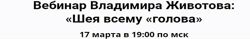 Шея всему голова. Вебинар - Владимир Животов