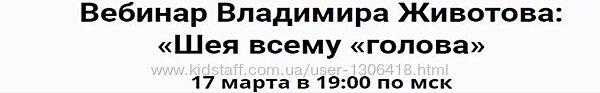 Шея всему голова. Вебинар - Владимир Животов
