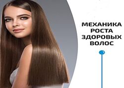 Механика роста здоровых волос - Владимир Животов
