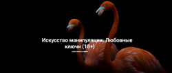 Искусство манипуляции. Любовные ключи, 18 - Рада Русских, Ольга Чебыкина