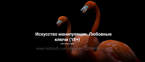 Искусство манипуляции. Любовные ключи, 18 - Рада Русских, Ольга Чебыкина