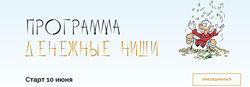 Программа Денежные ниши. Тариф Самостоятельный - Юлия Полунина