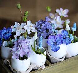 Набор курсов - Евгения Волосова