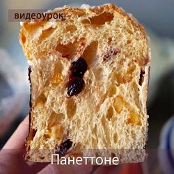 Панеттоне - Ксения Гребенюк