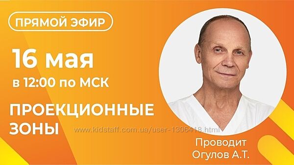 Проекционные зоны Новейшие методы функциональной диагностики Огулов