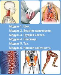 Мануальная терапия мышечно-скелетных дисфункций - Олег Агеев