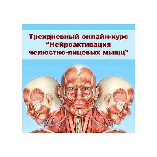 Киреев Коган - Нейроактивация челюстно-лицевых мышц 30-ти дневная программа