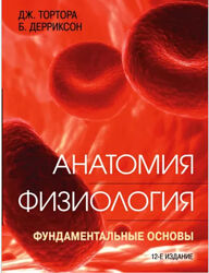 Анатомия. Физиология. Фундаментальные основы Джерард Тортора, Брайан Деррик