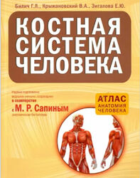 Костная система человека Билич, Крыжановский, Зигалова