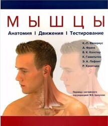 Мышцы. Анатомия. Движения. Тестирование Валериус