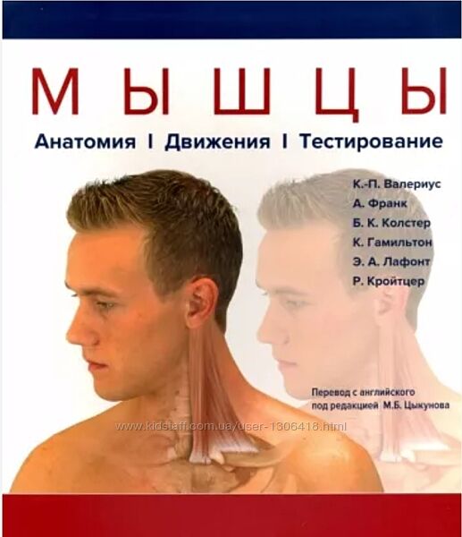 Мышцы. Анатомия. Движения. Тестирование Валериус